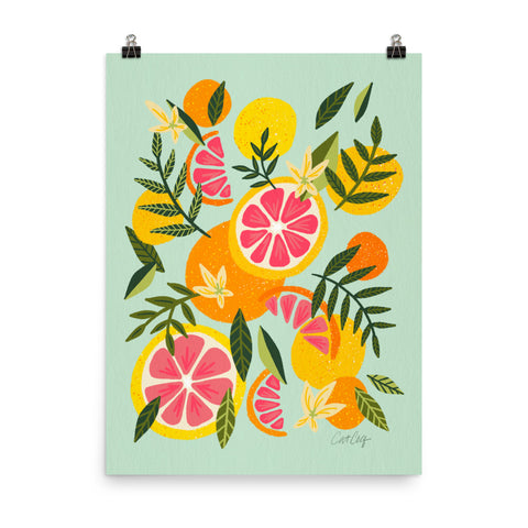 Grapefruit Blooms – Mint
