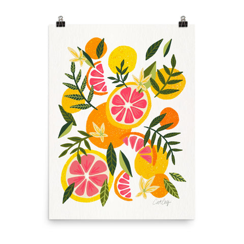 Grapefruit Blooms – Pink & White