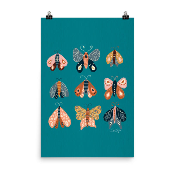 Moth Specimens - Teal