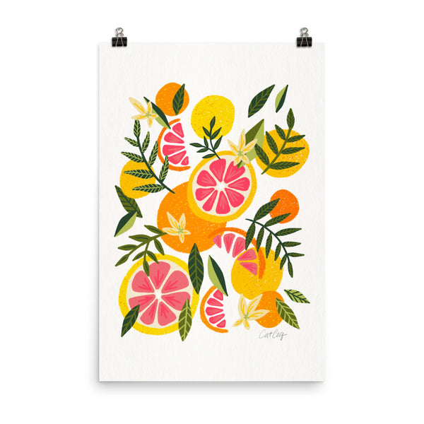 Grapefruit Blooms – Pink & White