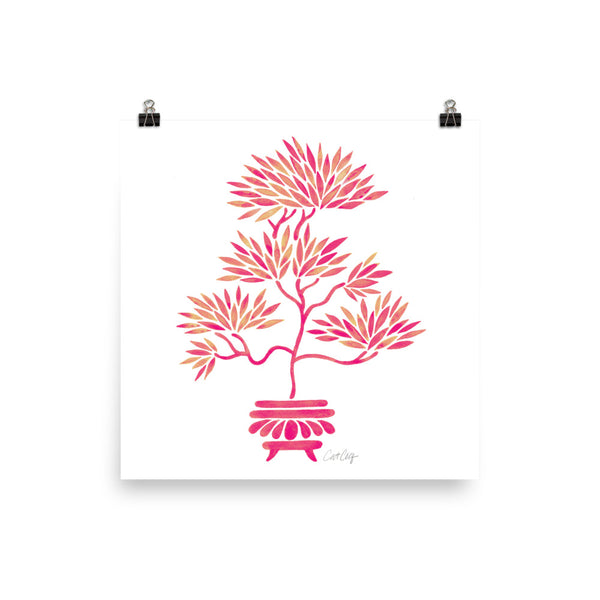 Bonsai - Pink