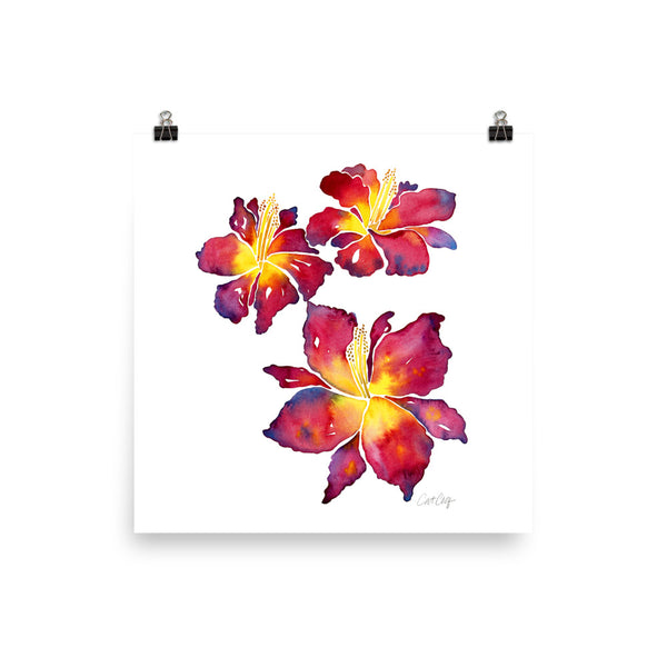 Iris Blooms – Red