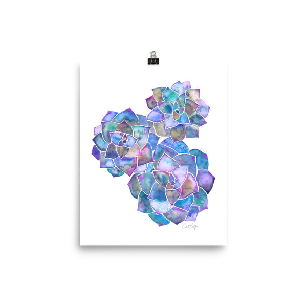Rosette Succulents – Mermaid Palette • Art Print