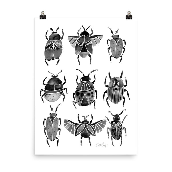 Beetle Collection - Black