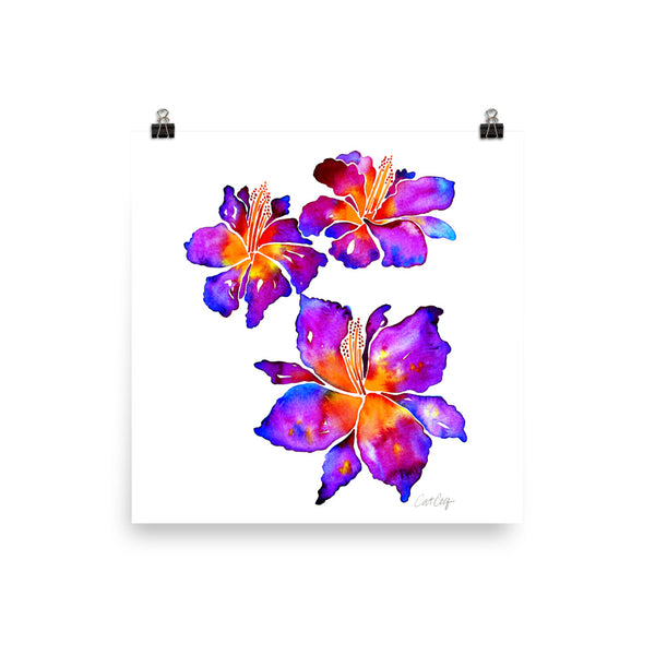 Iris Blooms – Fuchsia