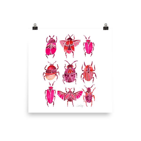 Beetle Collection - Pink