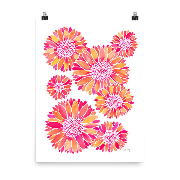 Sunflower Blooms – Pink