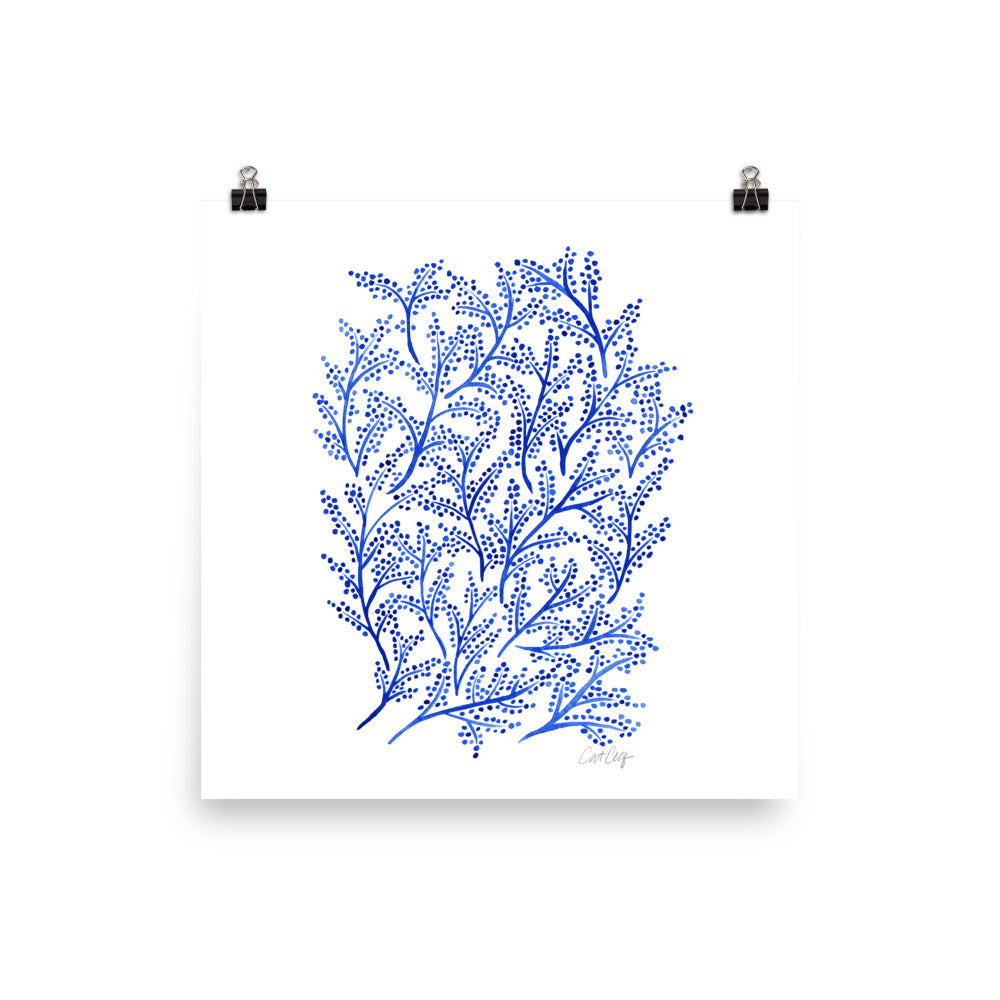 Branches - Navy