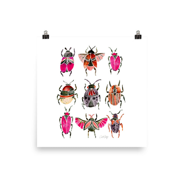 Beetle Collection - Pink Black