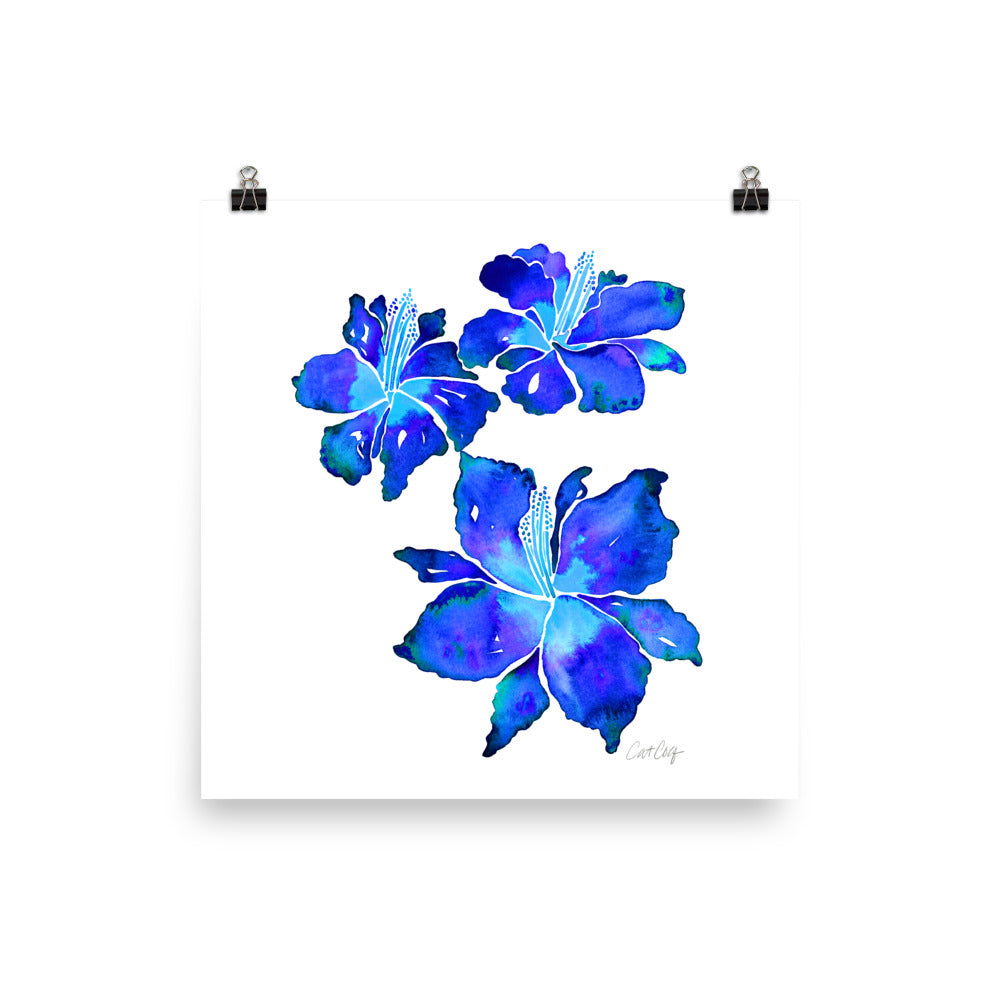 Iris Blooms – Blue