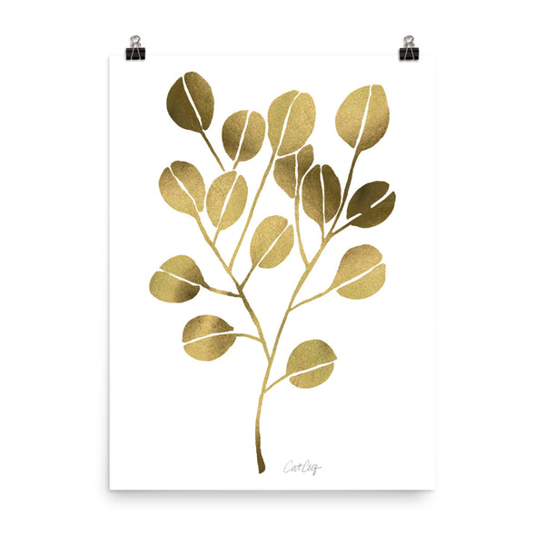 Eucalyptus - Gold