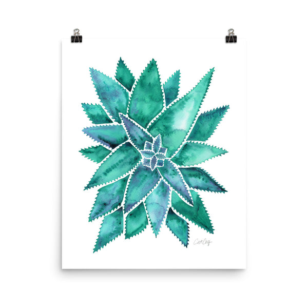 Aloe Vera - Turquoise