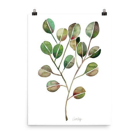 Eucalyptus - Green