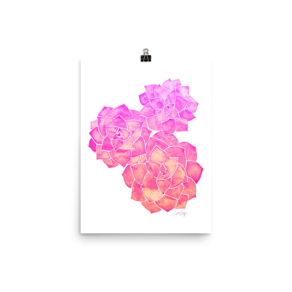 Rosette Succulents – Pink Ombré Palette • Art Print
