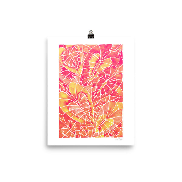 Schismatoglottis Calyptrata – Pink Palette • Art Print
