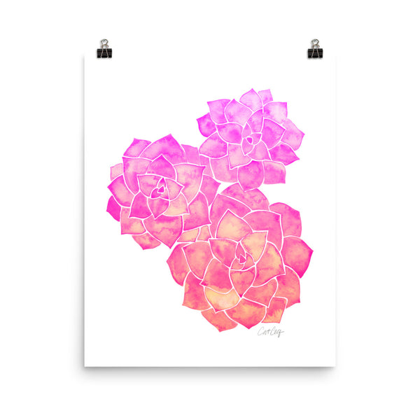 Rosette Succulents – Pink Ombré Palette • Art Print