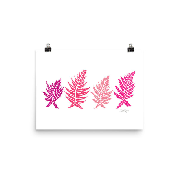 Inked Ferns – Pink Ombré Ink • Art Print