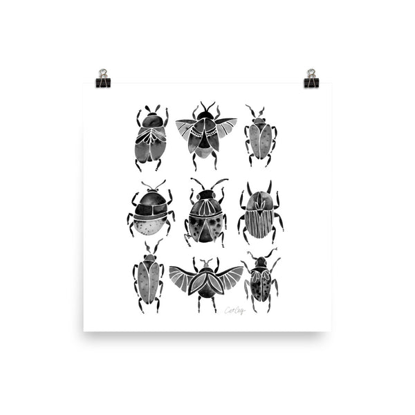 Beetle Collection - Black
