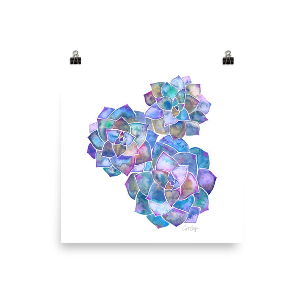 Rosette Succulents – Mermaid Palette • Art Print