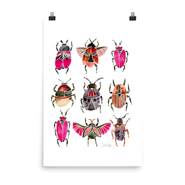 Beetle Collection - Pink Black