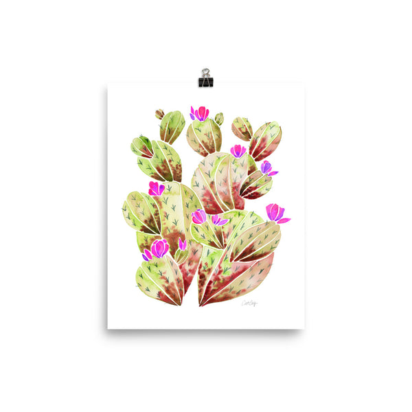 Prickle Pear Garden - Pink Ombre