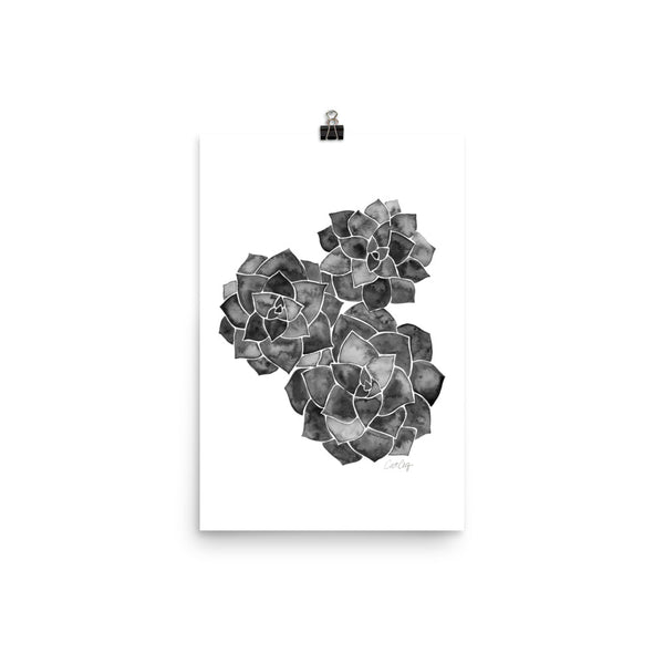Rosette Succulents – Black Palette • Art Print