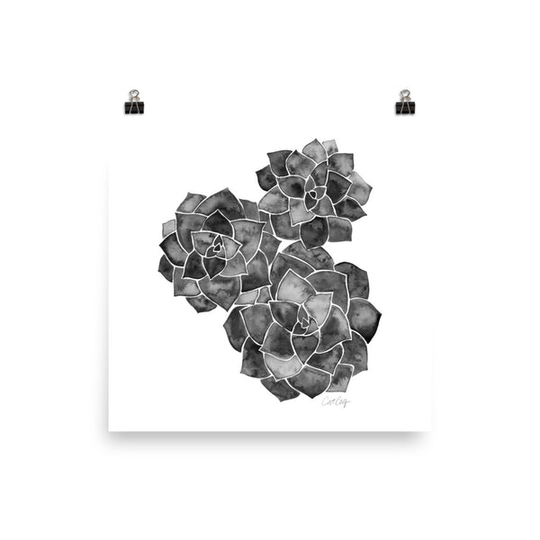 Rosette Succulents – Black Palette • Art Print