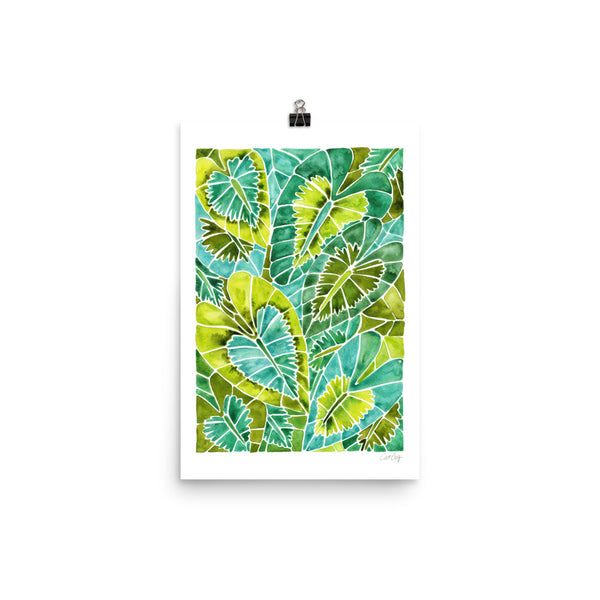 Schismatoglottis Calyptrata – Green Palette • Art Print