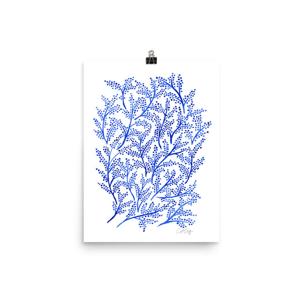 Branches - Navy