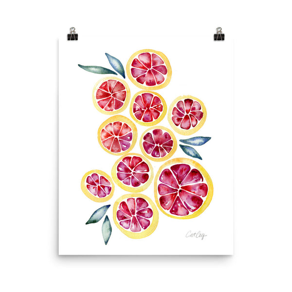 Grapefruit Slices • Art Print