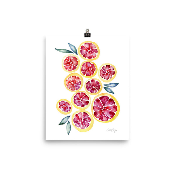 Grapefruit Slices • Art Print