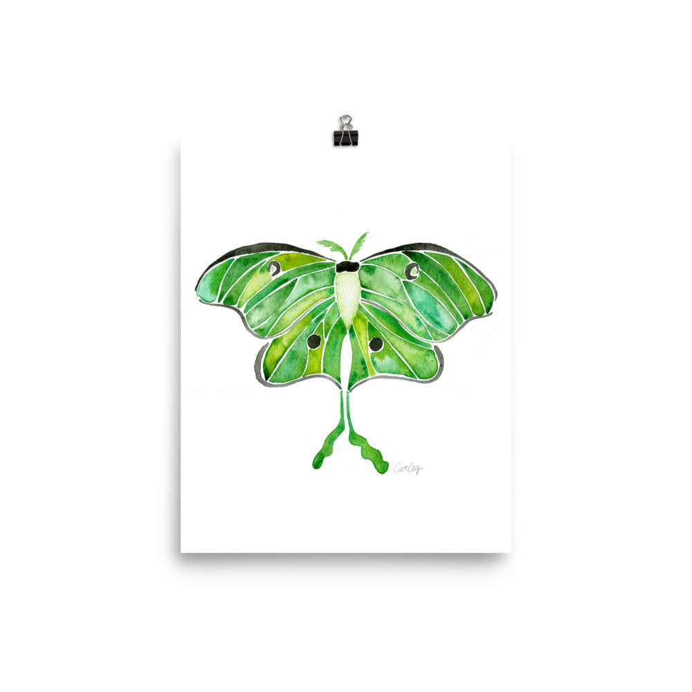 Luna Moth • Art Print