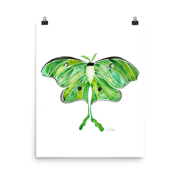 Luna Moth • Art Print