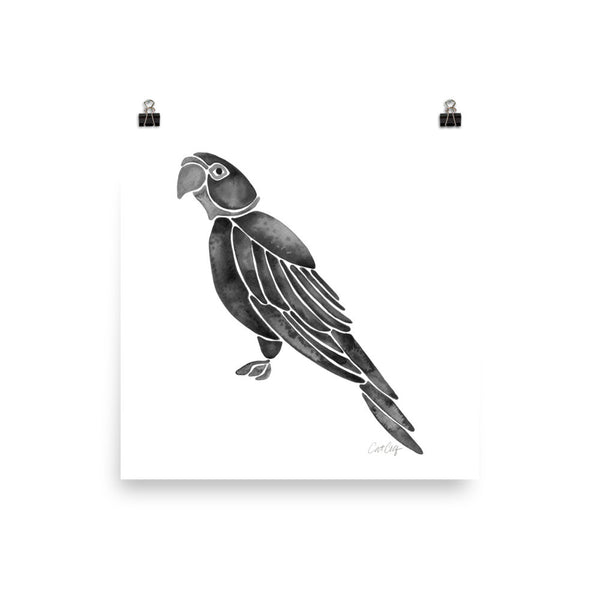 Perched Parrot – Black Palette • Art Print
