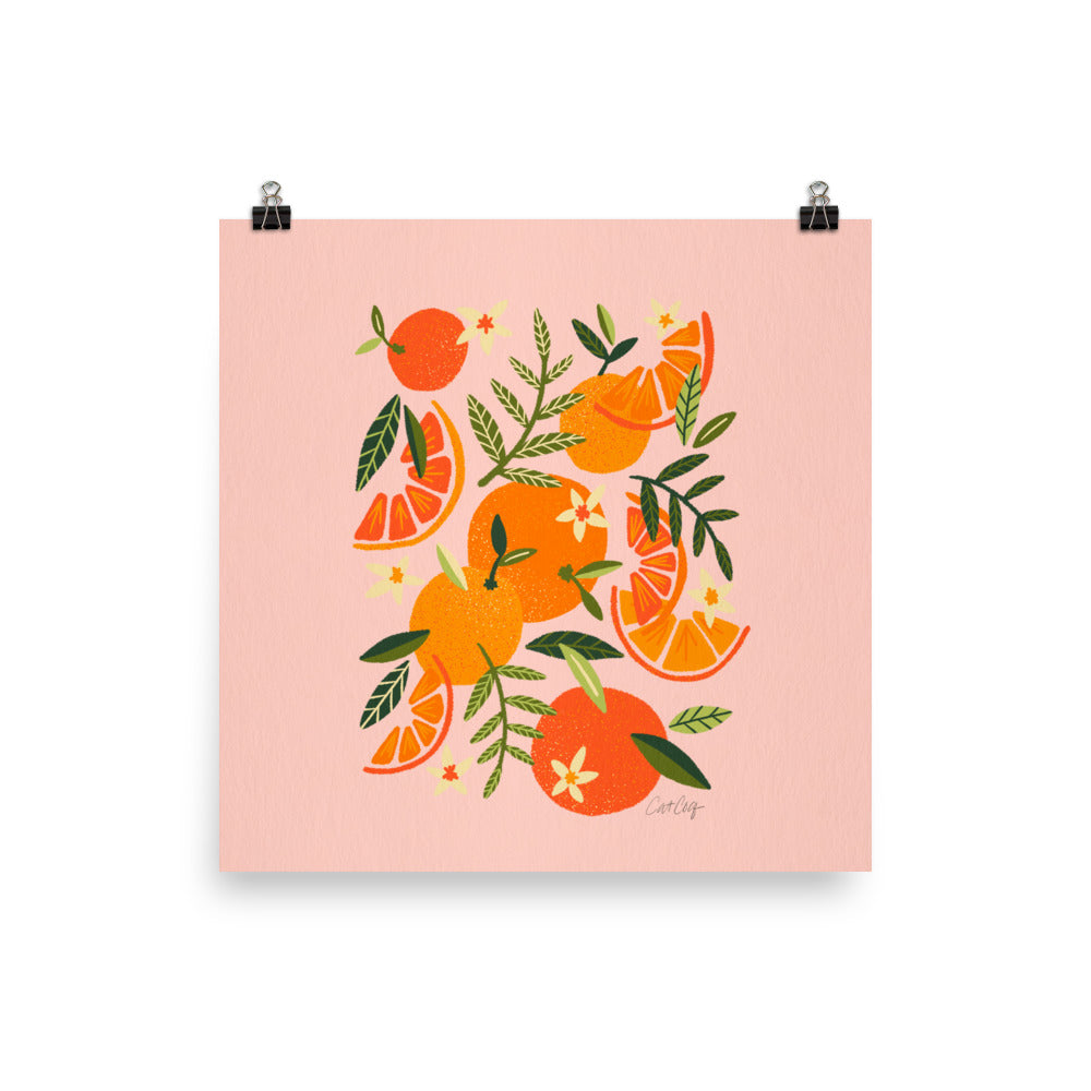 Orange Blooms – Blush