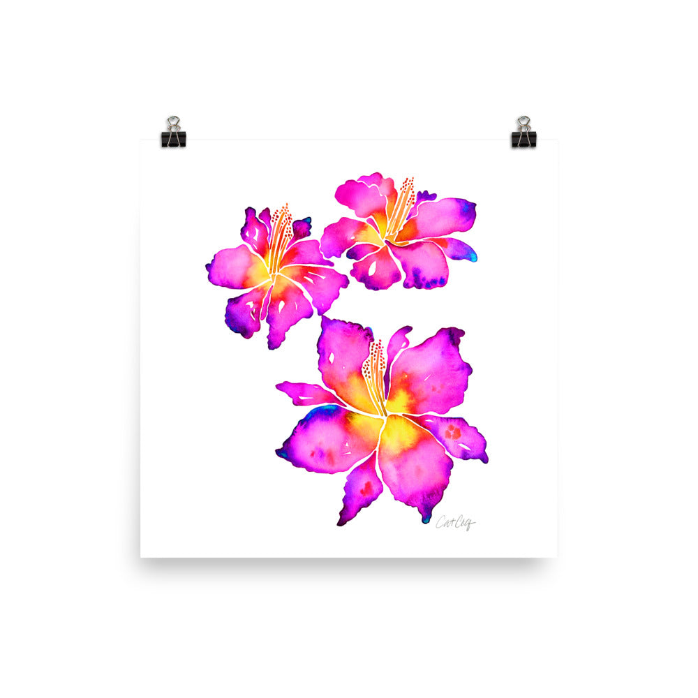 Iris Blooms – Pink