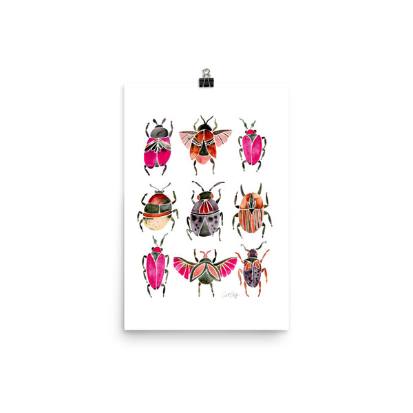 Beetle Collection - Pink Black