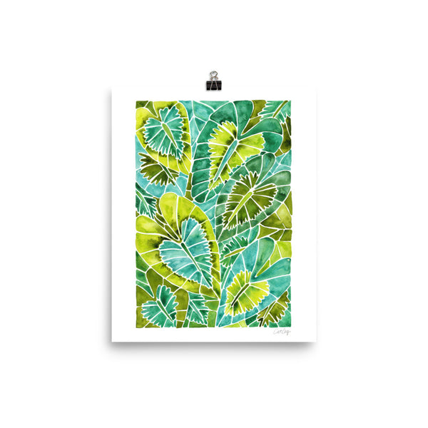Schismatoglottis Calyptrata – Green Palette • Art Print