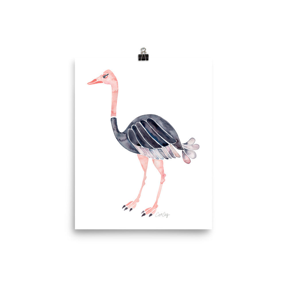 Ostrich • Art Print