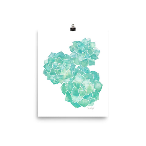 Rosette Succulents – Mint Palette • Art Print