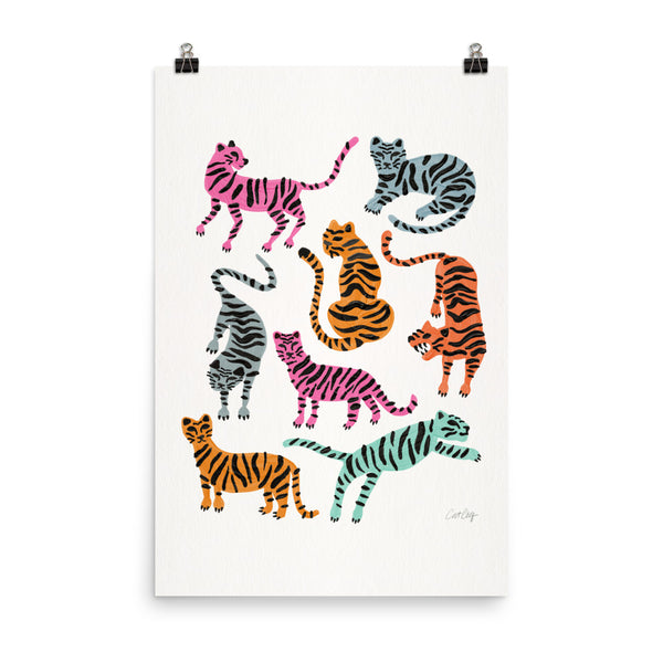 Tiger Collection - Pink & Blue