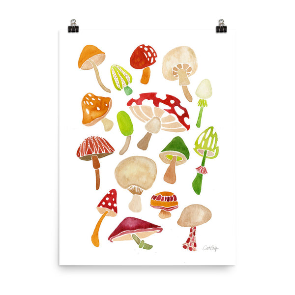 Mushroom Collection • Art Print
