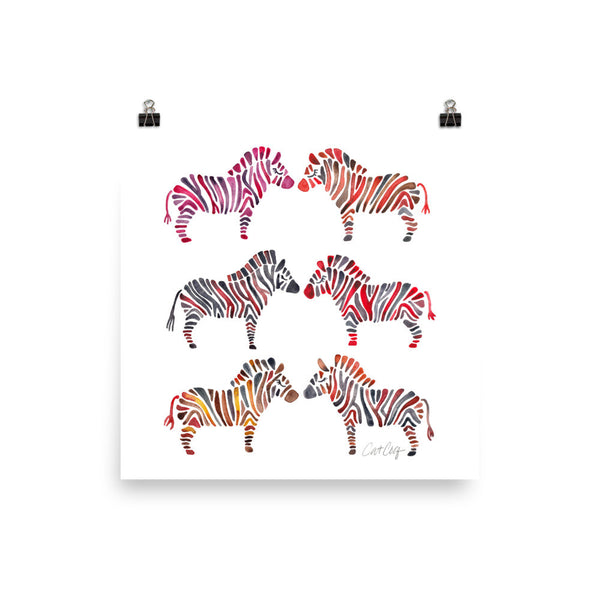 Zebra Collection – Rainbow Palette • Art Print