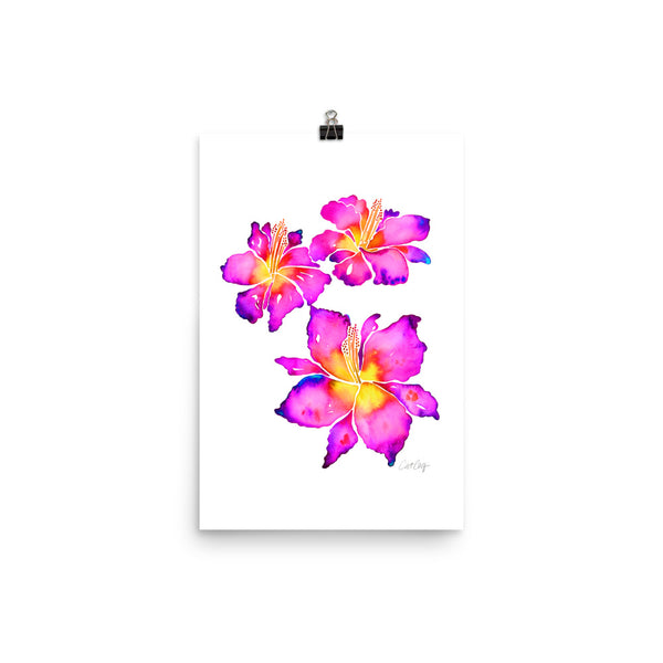 Iris Blooms – Pink