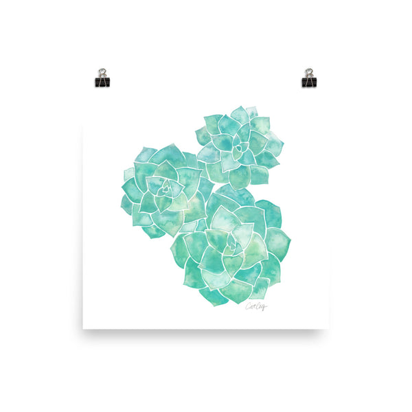 Rosette Succulents – Mint Palette • Art Print