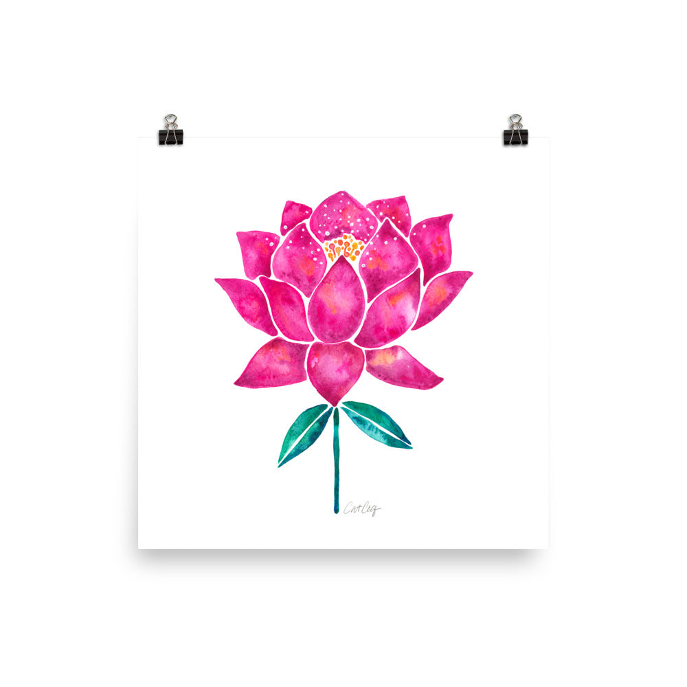 Lotus Blossom - Magenta