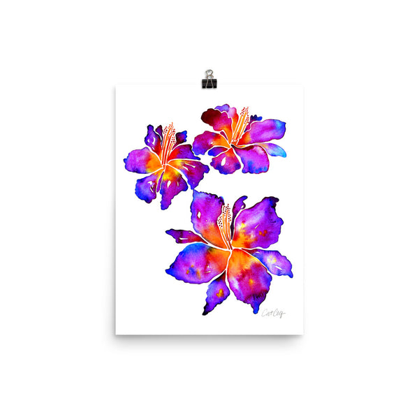Iris Blooms – Fuchsia