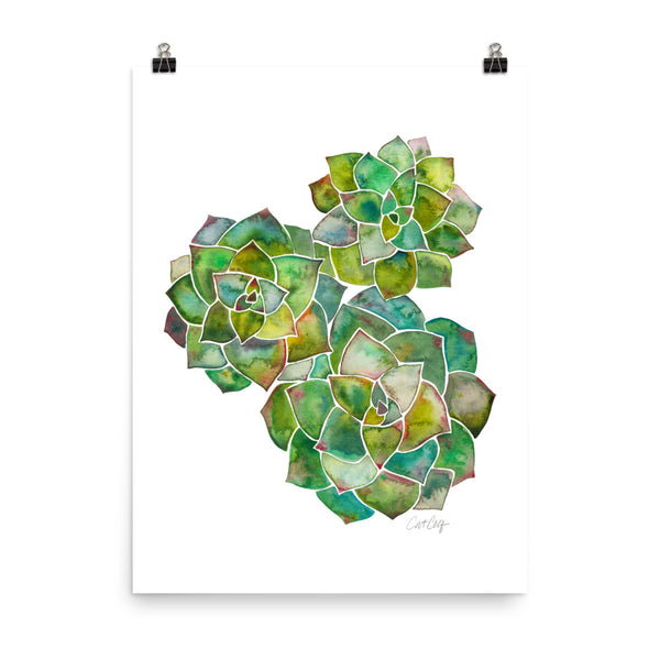 Rosette Succulents – Green Palette • Art Print