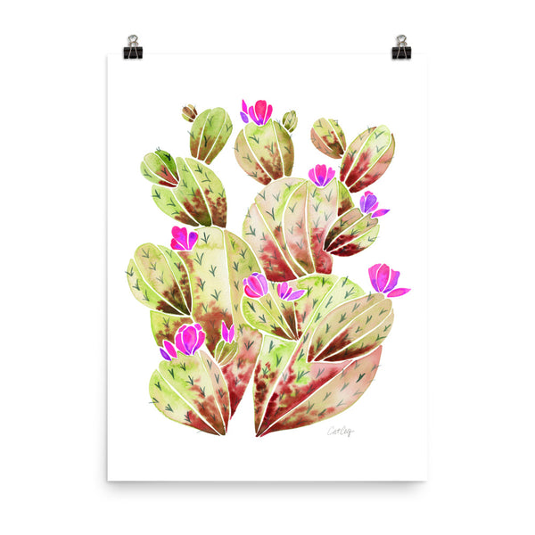 Prickle Pear Garden - Pink Ombre