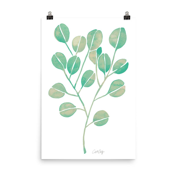 Eucalyptus - Mint